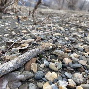 Meet your Posher, Rachael